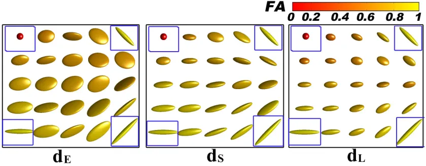 Figure 10.Interpolation of four tensors at the corners of a grid. Left: Euclidean interpolation (dE)
