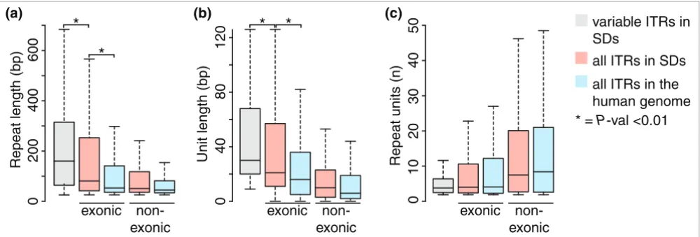 Figure 3Length of variable ITRs compared to all ITRs in SDs and in the human genomeLength of variable ITRs compared to all ITRs in SDs and in the human genome