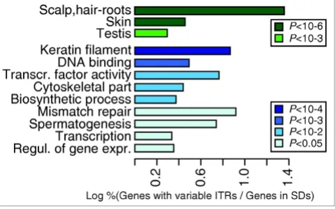 Figure 5Functional enrichment of genes with variable ITRsFunctional enrichment of genes with variable ITRs