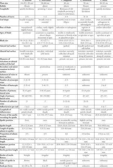Table 1. Morphological comparison of Chlorospatha minima, C. silverstonei, C. longipoda, C