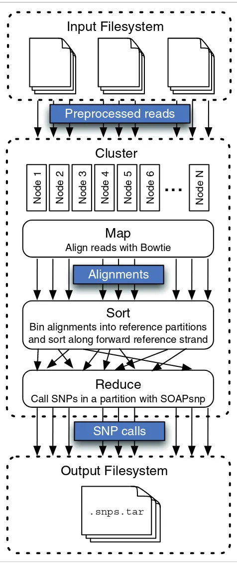 Figure 2Crossbow workflowCrossbow workflow. Previously copied and pre-processed read files are downloaded to the cluster, decompressed and aligned using many parallel instances of Bowtie