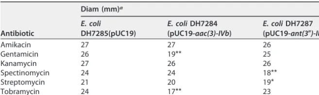 TABLE 5 Effect of the aminoglycoside 3-N-acetyltransferase aac(3)-IVb (aacC10) and theaminoglycoside 3�-adenylyltransferase ant(3�)-Ib (aadA32) genes from C