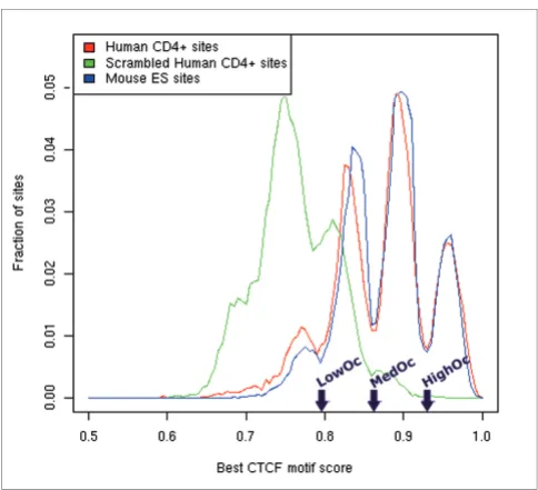 Figure 1sequenceCD4+ T cells, mouse embryonic stem (ES) cells, and scrambled human CTCF motif score distribution at the CTCF bound regions in human 