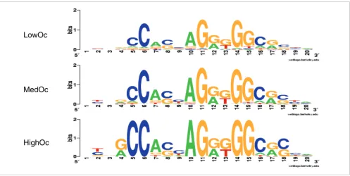 Figure 2Motif logos for CTCF sites derived separately from the best scoring sites in each of the three classes