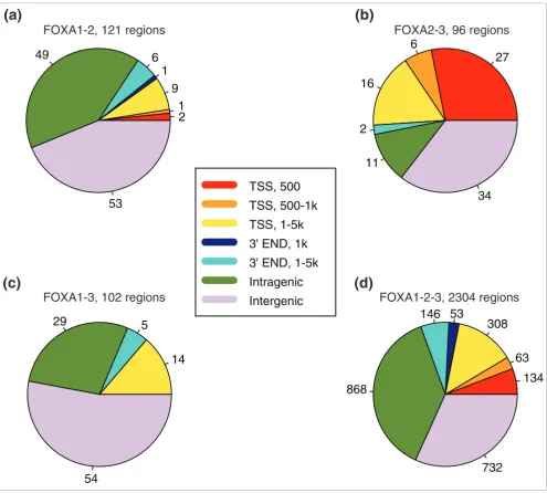 Figure 3Genomic localization of common binding regions for FOXA1, FOXA2, and FOXA3Each region was mapped to all UCSC gene coordinates and sequentially matched to the categories 500 bp from TSS, 500 bp to 1 kb from TSS, 1 to 5 kb from TSS, 1 kb from 3'-end,