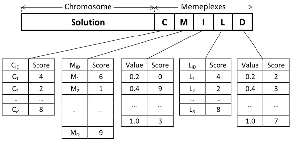 Figure 1: Encoding of an individual in SSMA