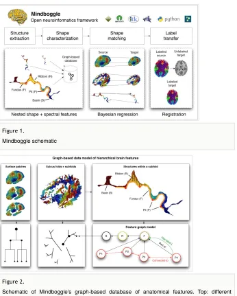 Figure 1. Mindboggle schematic