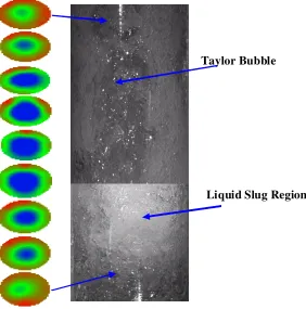 Figure 9: Estimated Sliced View of Slug Flow a- Electrical Capacitance Tomography (ECT) Images (Left) , b- High Speed Camera Picture (Right)