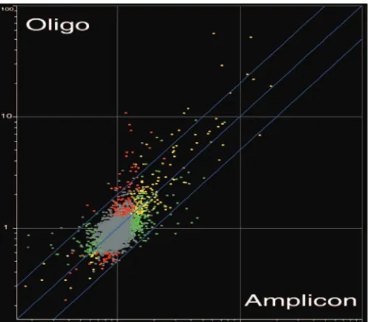 FIG. 11. Similarity between the myo5scatter plot of the average ﬂuorescence ratios observed under yeast growth conditions foroligonucleotide microarrays