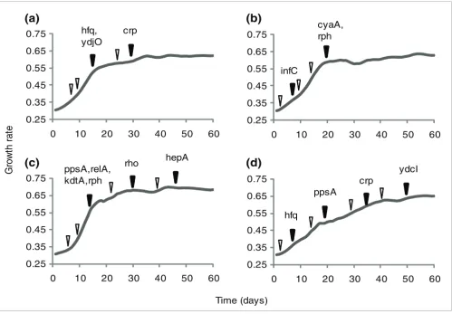 Figure 4Temporal order of acquired mutations
