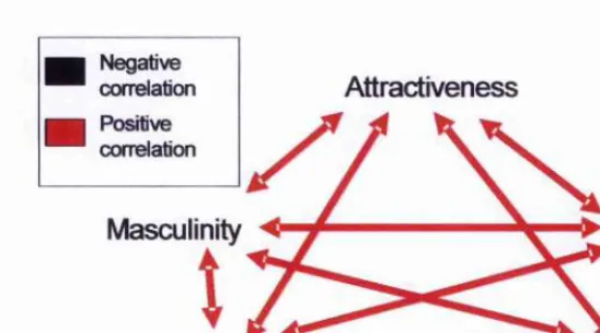 Figure 5-1. Predicted correlations among attributes in men’s voices