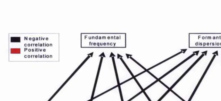 Figure 5-2. Predicted relationships among acoustic features and vocal attributes in 