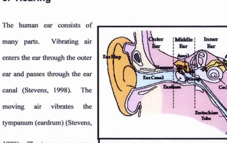 Figure 2-8. Anatomy of the human ear. Image from: http://www.glenbrook.kl2.il.us