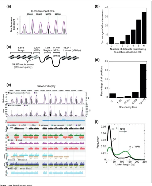 Figure 1 (see legend on next page)