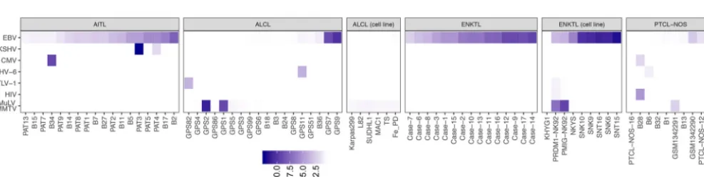 FIG 1 Distribution of total EBV gene expression (transcripts per million [TPM]) for each PTCL subtype