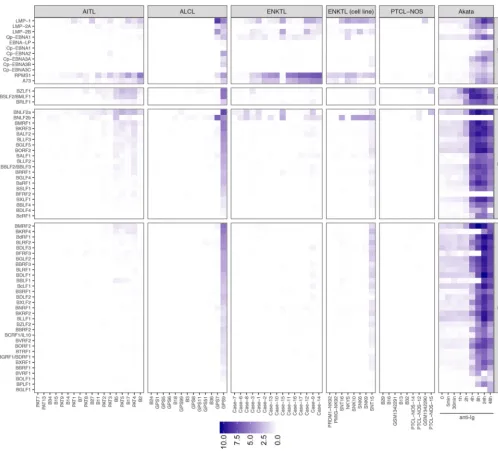 FIG 4 Expression of latent (LT), immediate early lytic (IE), early lytic (E), and late lytic (L) EBV genes in PTCL primary tumors and cell lines