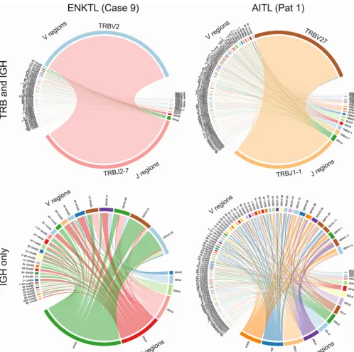 FIG 6 Circle plots indicating V(D)J recombination in an AITL sample and an ENKTL sample.