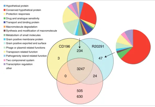 Figure 1Distribution of orthologues CDSs in C. difficile strains 630, CD196 and R20291