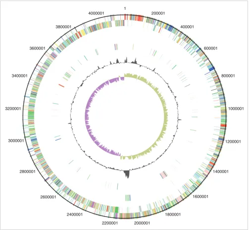 Figure 2Circular representations of C. difficile chromosomes