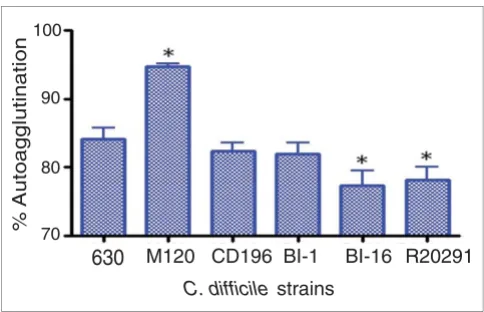 Figure 5Autoagglutination of C. difficile strains