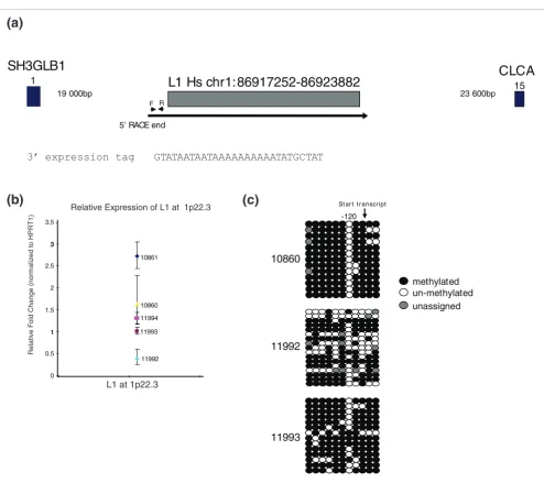 Figure 5Characterization of L1 at 1p22.3