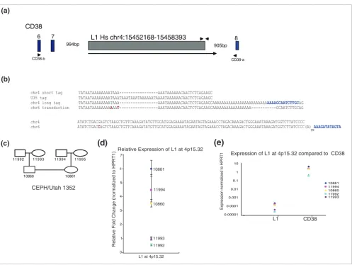 Figure 2Characterization of L1 at 4p15.32amplicons can be clearly visualized. Error bars represent ± standard deviations from three replicates