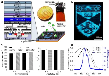 Figure 1. OLED micro-arrays for manipulation of cells with light: experimental setup, optical characteristics and stability of the OLEDs