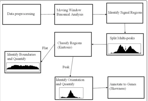 Figure 1 The proposed statistical procedure for ChIP-chip data analysis.