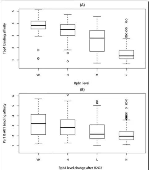 Figure 4 (A)Tbp1 binding affinity for VH(very high, Rpb1change after Hgroups. (B)Atf1 and Pcr1 binding affinity for VH(very high,≥2), H(high, 1.5≤Rpb1<2), M(Median, 1≤Rpb1<1.5) and L(Low, 0.5 ≤Rpb1< 1) Rpb1 level ΔRpb1≥2), H(high, 1≤ΔRpb1<2), L(Low, 0≤ΔRpb