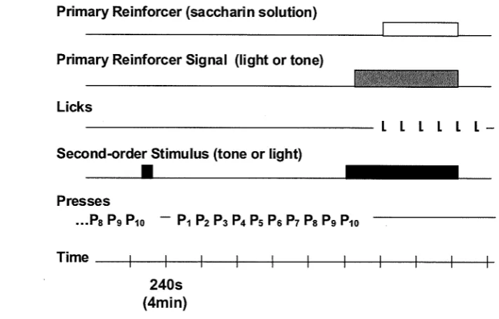 Figure 2.1 Time line where tick mark represents every two seconds towards the end· of the for 0.5s followed by the simultaneous presentation of the second-order stimulus before 4 minutes has elapsed the second-order stimulus (black block) Schematic example