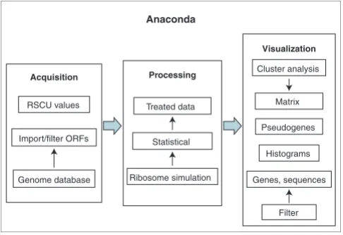 Figure 2Codon context is highly biased in yeast