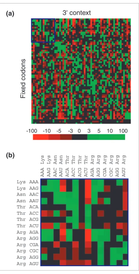 Figure 3genome map of codon contextCodons that are represented in the map can be visualized by zooming into particular areas of the map (boxed in dark blue in (a))