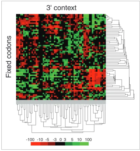 Figure 5Codon context bias is organized in discrete groups