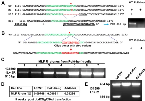 FIG 10 DNA Polthe MLF resistance rates were determined 5 weeks after pLdCNgRNAd transfection