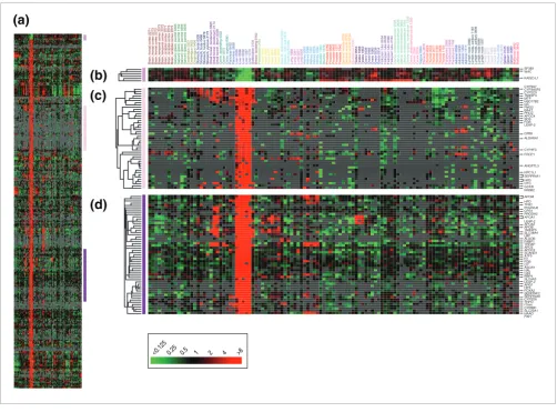 Figure 2Liver-specific gene expression