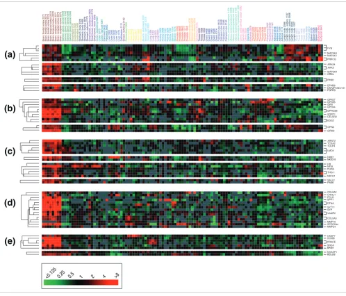 Figure 3Brain-selective expression of functionally annotated gene sets