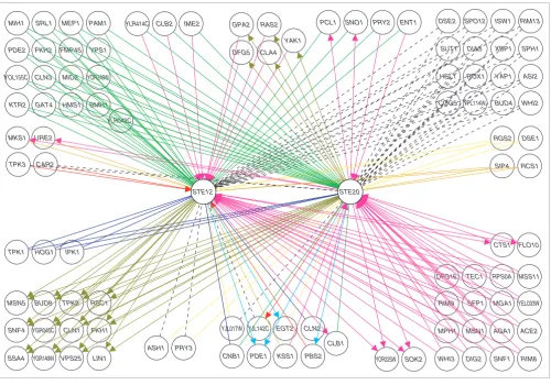 Figure 3Mutually informative genes show large-scale patterns of genetic interaction