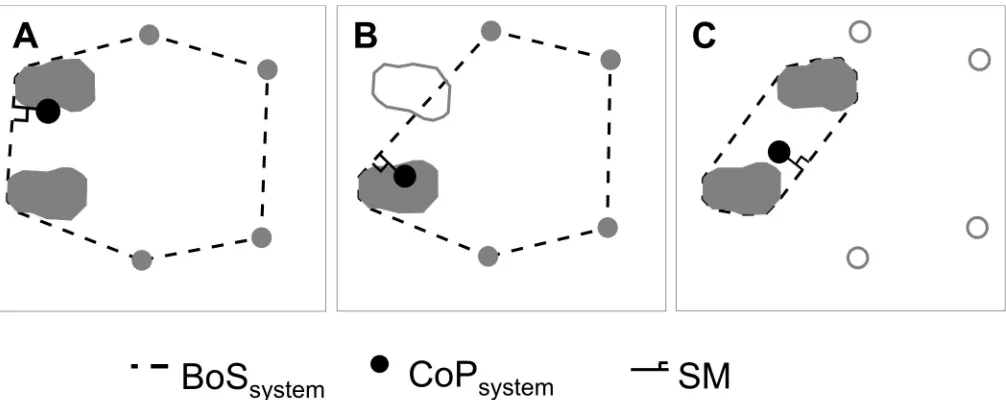 Fig 1. Examples of combined centre of pressure, combined base of support and system Stability Margin