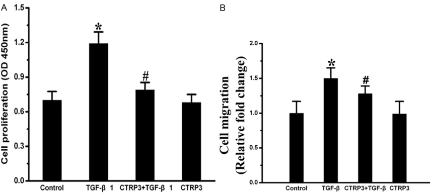 Figure 2. CTRP3 attenuated TGF-β1-induced adventitial fibroblasts proliferation and migration