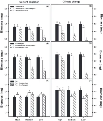 Figure 3. Survival percentages (mean ± 1 SD) for target species controls (15 plant monoculture – solid bars) compared with survival under different relative densities of competitor species (low, medium and high) for C