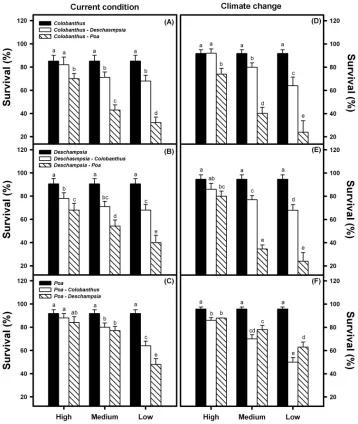 Figure 4. Final individual plant biomass (mean ± 1 SD) for target species controls (15 plant monocul-ture – solid bars) compared with biomass under different relative densities of competitors (high, medium, low) for C