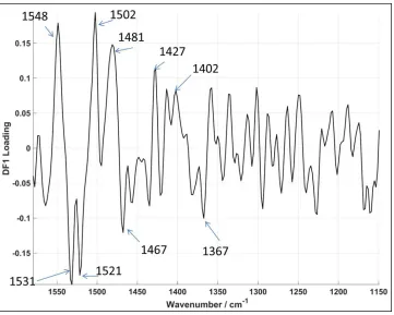 Figure 7 - Corresponding loadings plot for DF1, with key peaks highlighted.