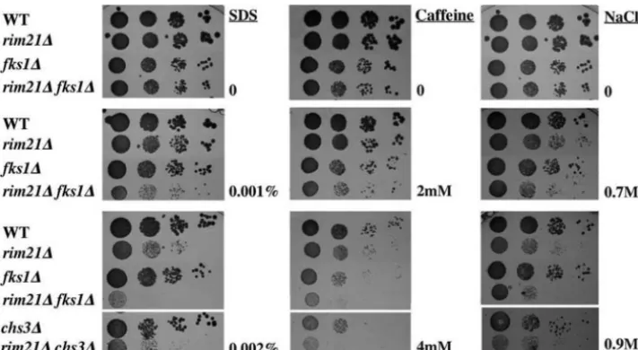 TABLE 3. Spore viabilitya in different crosses