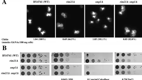 FIG. 5. Phenotypic characterization of the smp1treatment measured as described in Materials and Methods