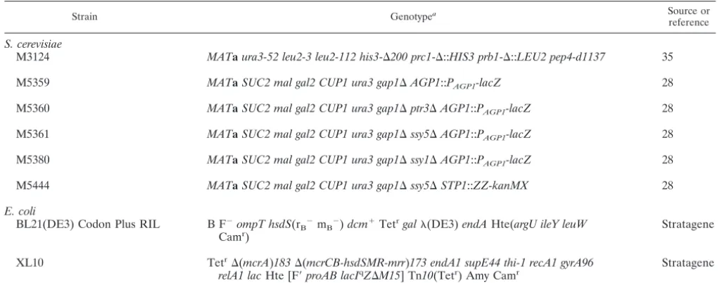 TABLE 2. Primers used for introduction of site-speciﬁc mutations in SSY5
