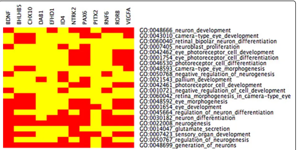 Figure 4 CIM Schroedinger Eigenmaps I Seven highly connected genes from Figures 11 and 12 were labeled in Schroedinger Eigenmaps.After clustering, all seven labeled genes are contained in the same cluster with 145 other genes