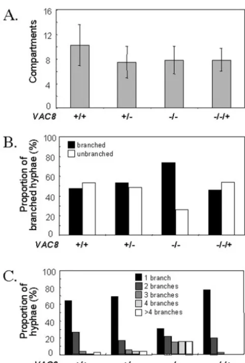 FIG. 6. Quantiﬁcation of hyphal growth and division of VAC81),quantiﬁed using the image types illustrated in Fig