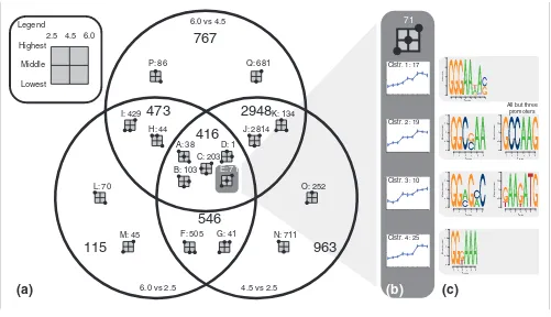 Figure 4Venn diagram and clustering of genes with a significant transcriptional response to pHPredicted recognition motifs for area in the Venn diagram is divided into subsets by the direction of the response in the different comparisons