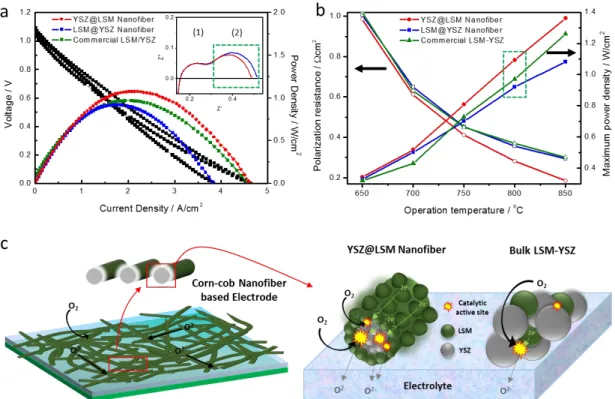 Figure 6. (a) Single cell performance from the plot of I-V (inset: impedance results) and power density at 800  o C and (b) polarization