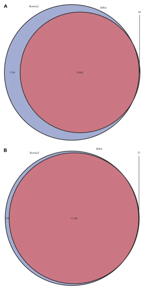 FIGURE 4 | Overlap of predicted insertion positions between BWA andBowtie2.(B)16,000 mutants estimated by colony counts, positions of predicted mutationswere compared